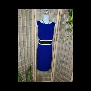 BLACK LABEL BY EVAN PICONE CAREER DRESS SZ 10